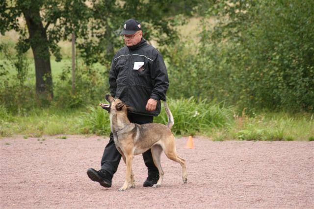 TOKO kerhomestaruus -08 (50).jpg